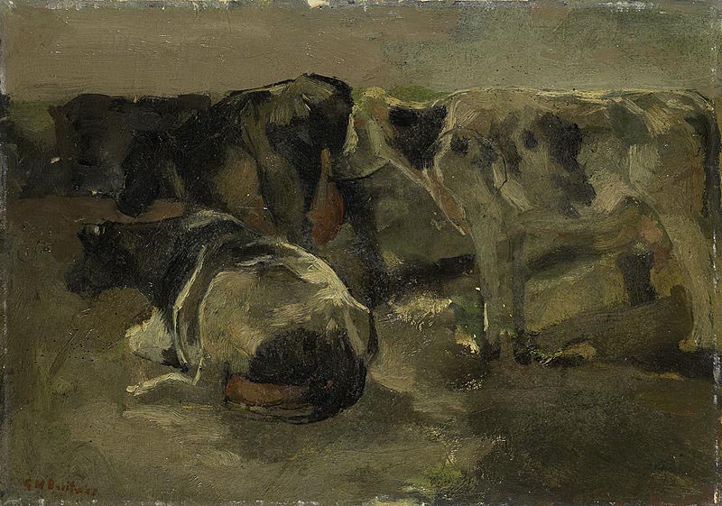 Four Cows